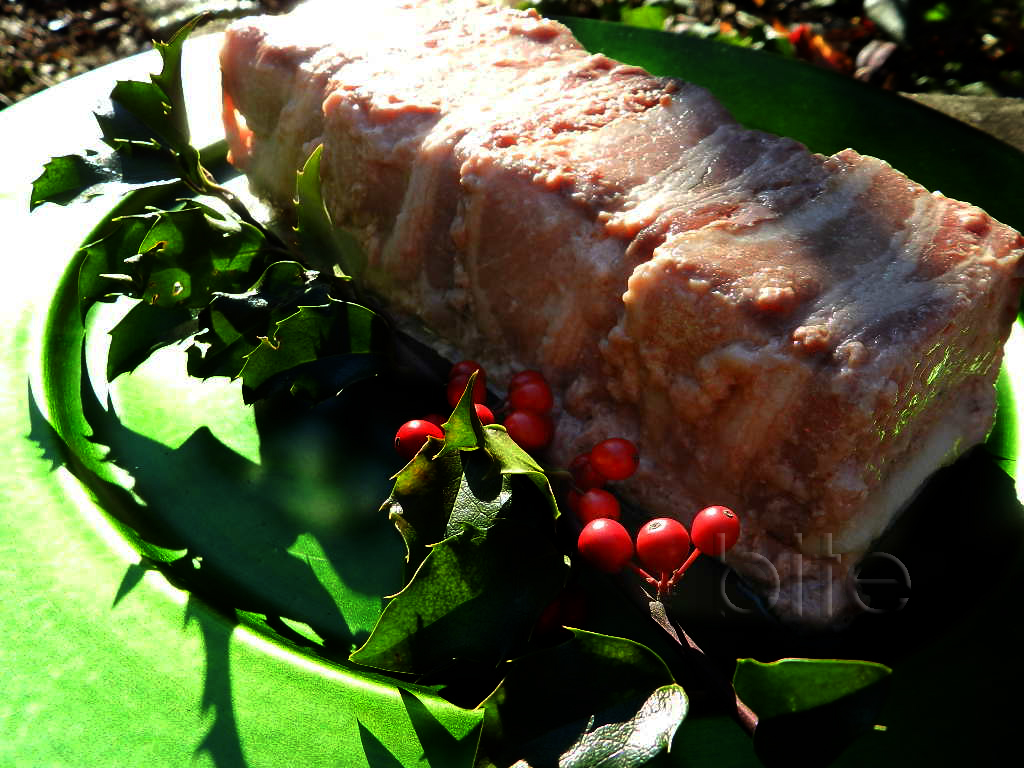 Simple terrine with cranberries and pistachios